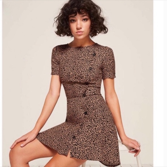 Reformation Dresses & Skirts - Reformation Leopard Print Katie Dress Sz 10